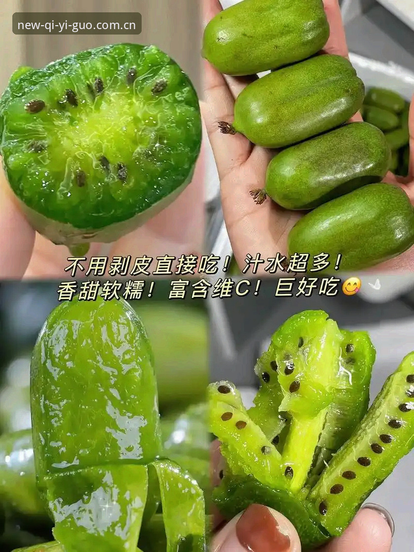 奇异果体育在线直播常见问题详解：从卡顿处理到版本更新的实用指南