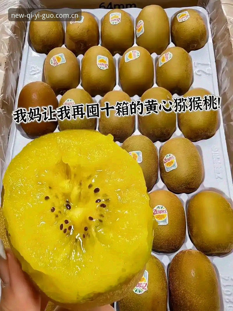 奇异果体育客户端手机版：快速上手的5个关键技巧