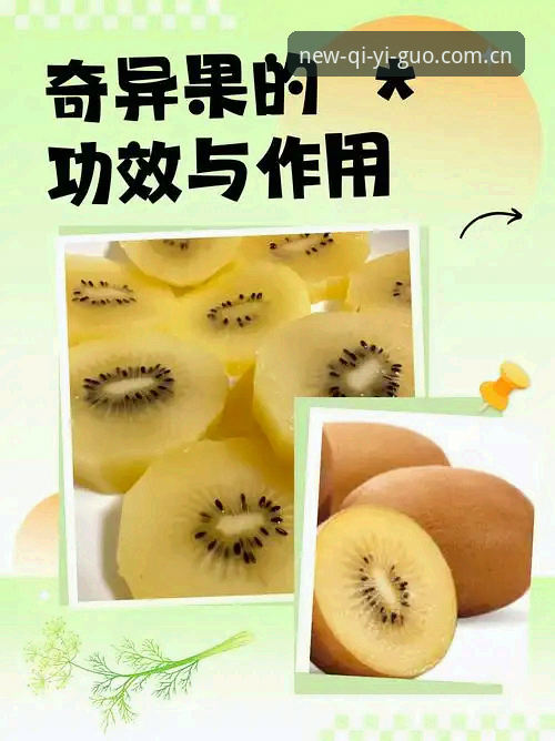 深度揭秘奇异果体育秒速直播：2025新版背后的真实体验与下载全攻略